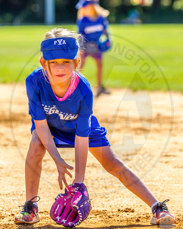 2019 PYA Girls Developmental Softball