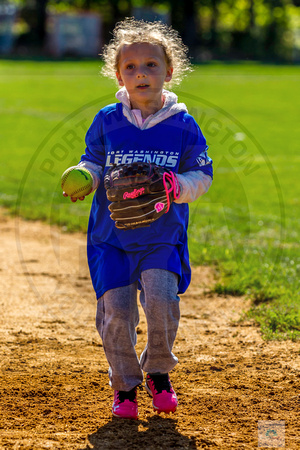 2019 PYA Girls Developmental Softball