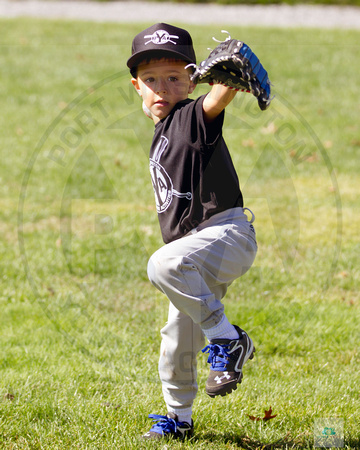 2019 PYA k-1 Development Baseball