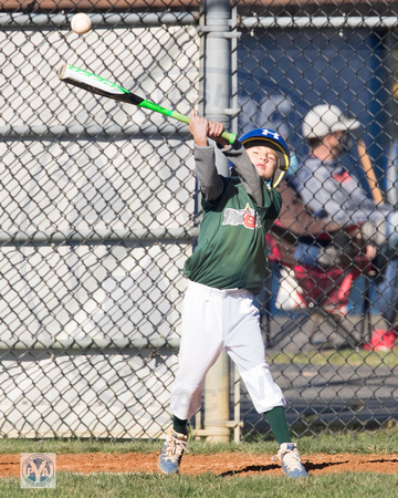 2020 PYA Fall Little League Baseball