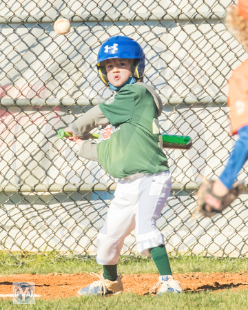 2020 PYA Fall Little League Baseball