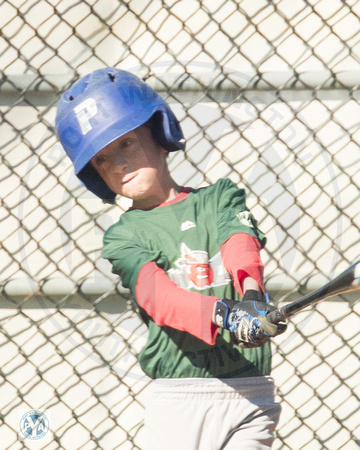 2020 PYA Fall Little League Baseball