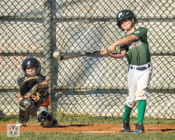 2020 PYA Fall Little League Baseball