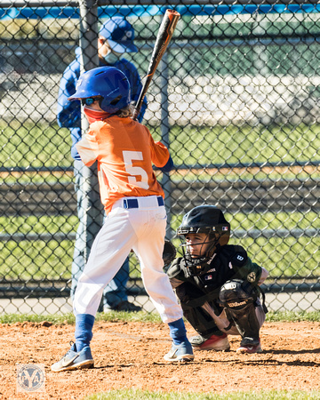 2020 PYA Fall Little League Baseball