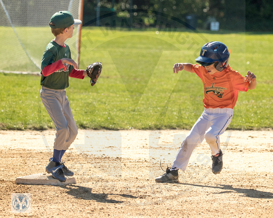 2020 PYA Fall Little League Baseball