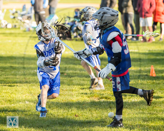 2020 Fall Harveys Lax Club PYA Lacrosse